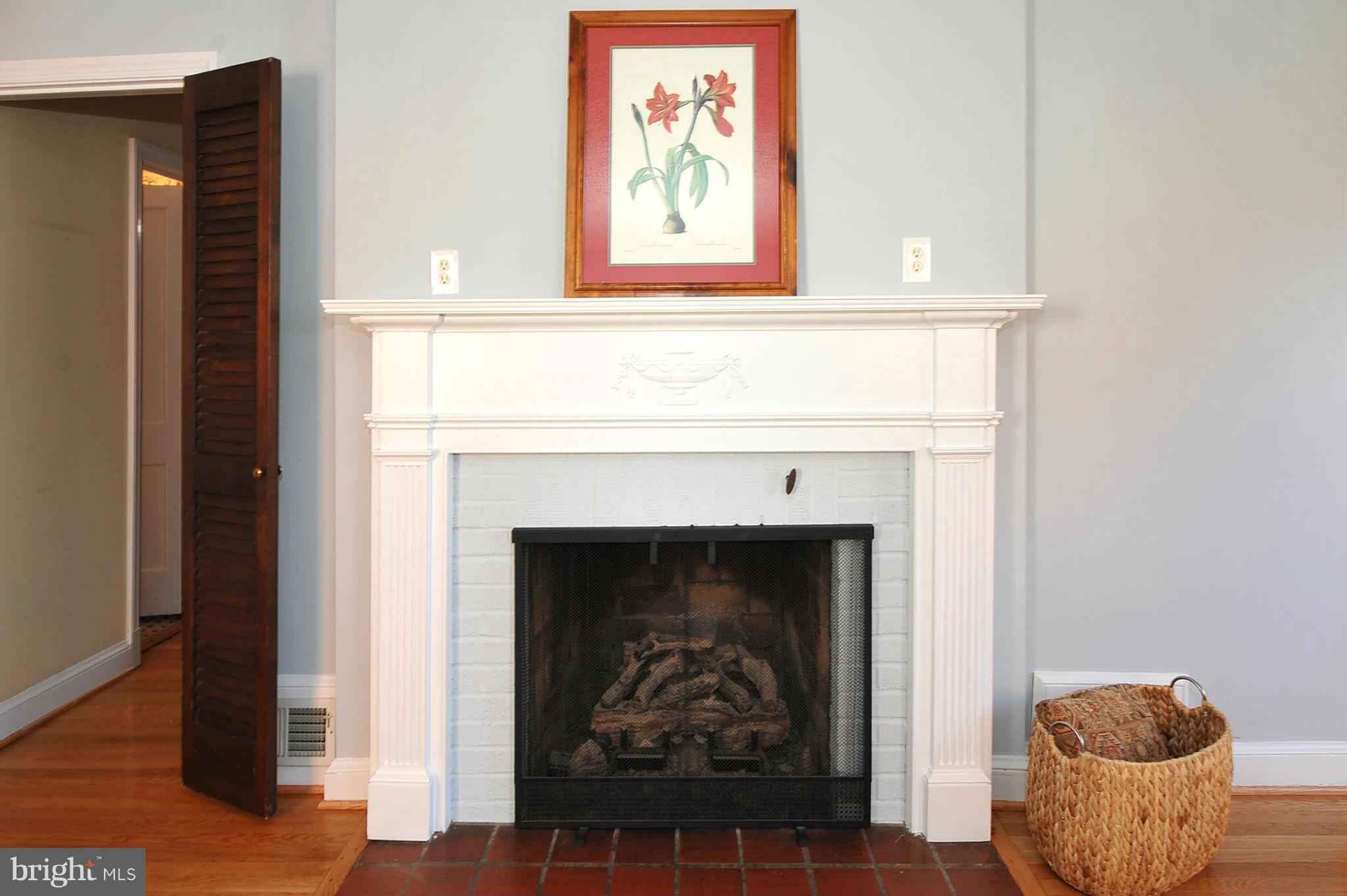 104 Indian Spring Drive Silver Spring, MD 20901 - Photo 5 of 30 Living Room gas fireplace