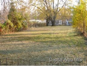 2316 Richards Lane Springfield, IL 62702 - Photo 3 of 23