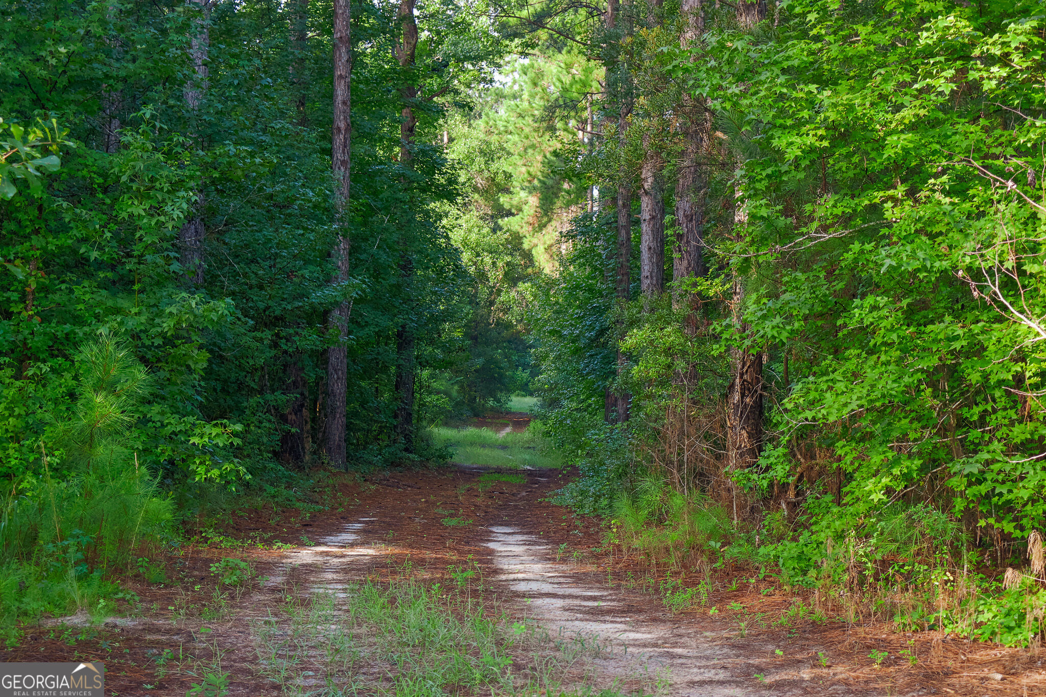 1362 Doyle Road Sardis, GA 30456 - Photo 16 of 53 Gallery Image 16