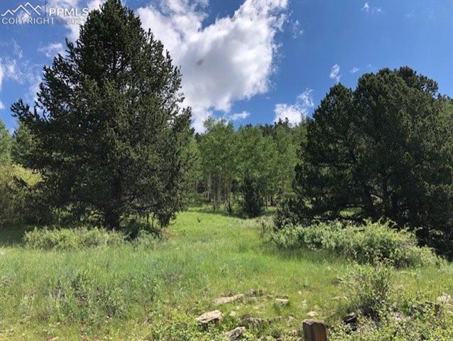 1509 Beaver Valley Road Victor, CO 80860 - Photo 29 of 32 Gallery Image 29