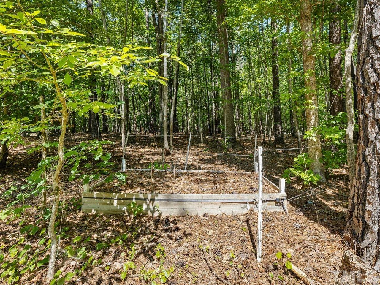 261 Ridge View Pittsboro, NC 27312 - Photo 43 of 57