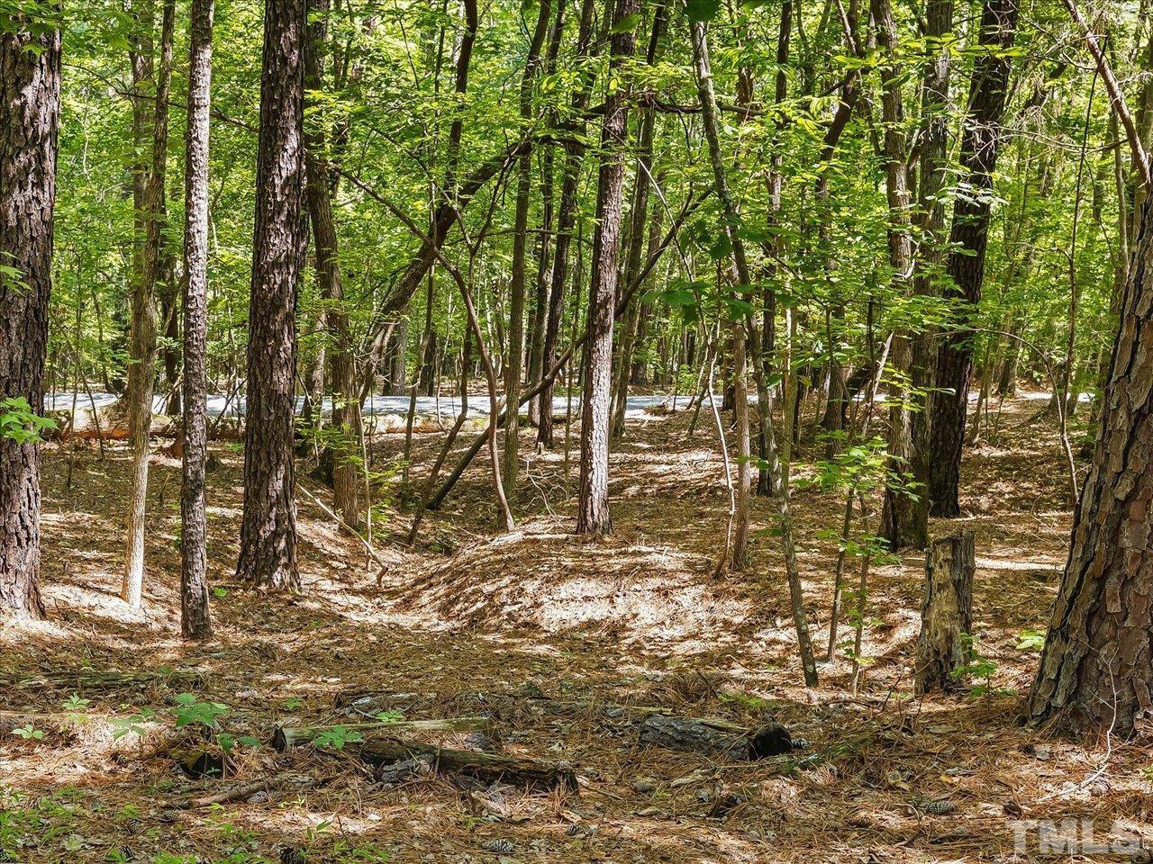 261 Ridge View Pittsboro, NC 27312 - Photo 46 of 57 a view of yard