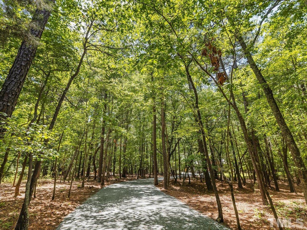 261 Ridge View Pittsboro, NC 27312 - Photo 51 of 57 a view of outdoor space and yard