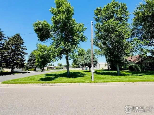 a view of a park with plants and large trees