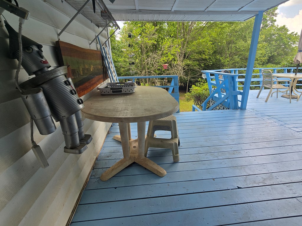 64 Green Oak Road Warne, NC 28909 - Photo 10 of 55