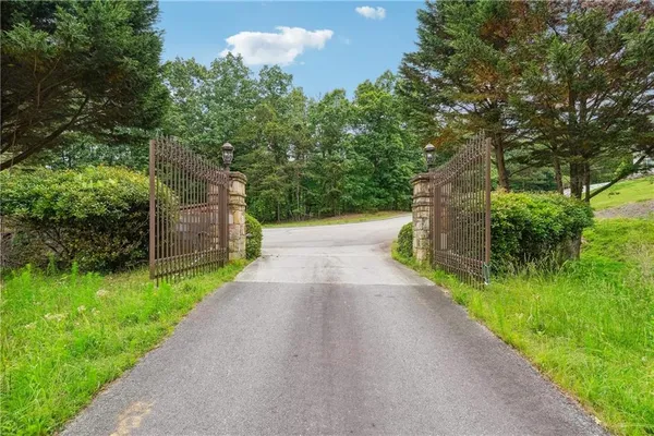 a view of a yard with plants and a large tree