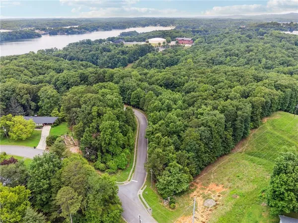 an aerial view of a residential houses with outdoor space and trees
