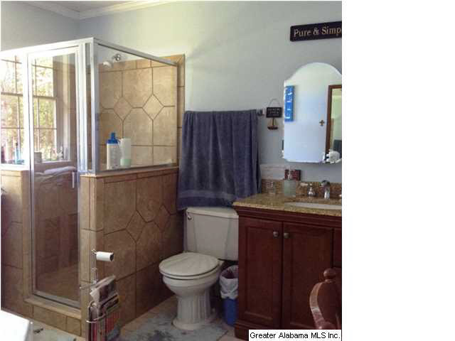 8375 Zuber Road Springville, AL 35146 - Photo 11 of 22