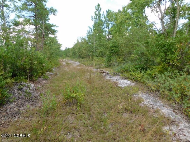 2139 Norris Road Garland, NC 28441 - Photo 28 of 46 26 (800x600)