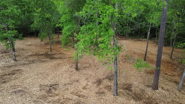 $85,000 | 1486 St Richards Tx 77873, Richards, TX 77873