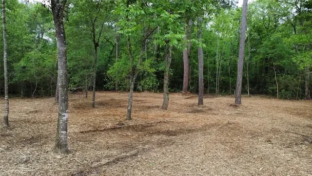 $85,000 | 1486 St Richards Tx 77873, Richards, TX 77873