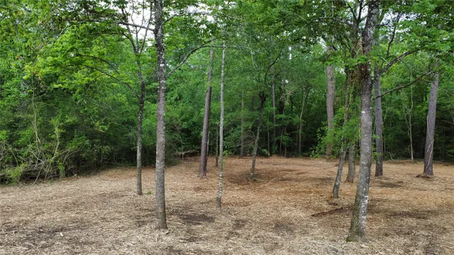 $85,000 | 1486 St Richards Tx 77873, Richards, TX 77873