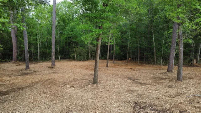 $85,000 | 1486 St Richards Tx 77873, Richards, TX 77873