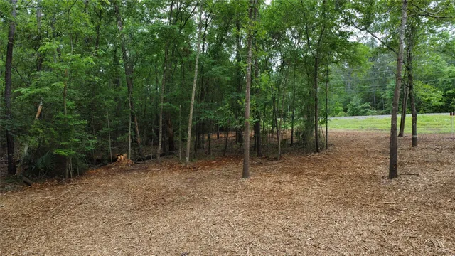 $85,000 | 1486 St Richards Tx 77873, Richards, TX 77873