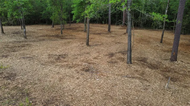 $85,000 | 1486 St Richards Tx 77873, Richards, TX 77873