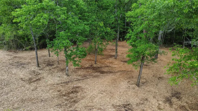 $85,000 | 1486 St Richards Tx 77873, Richards, TX 77873