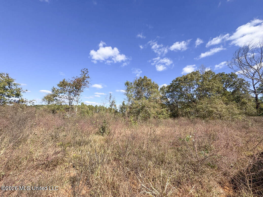154 County Road Tillatoba, MS 38961 - Photo 39 of 58 4kgrdnyba3-orig_orig