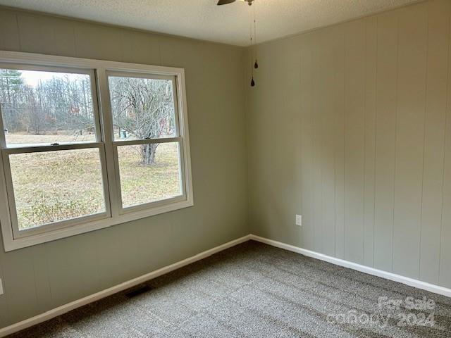 509 Abington Road Lenoir, NC 28645 - Photo 8 of 12 Gallery Image 8