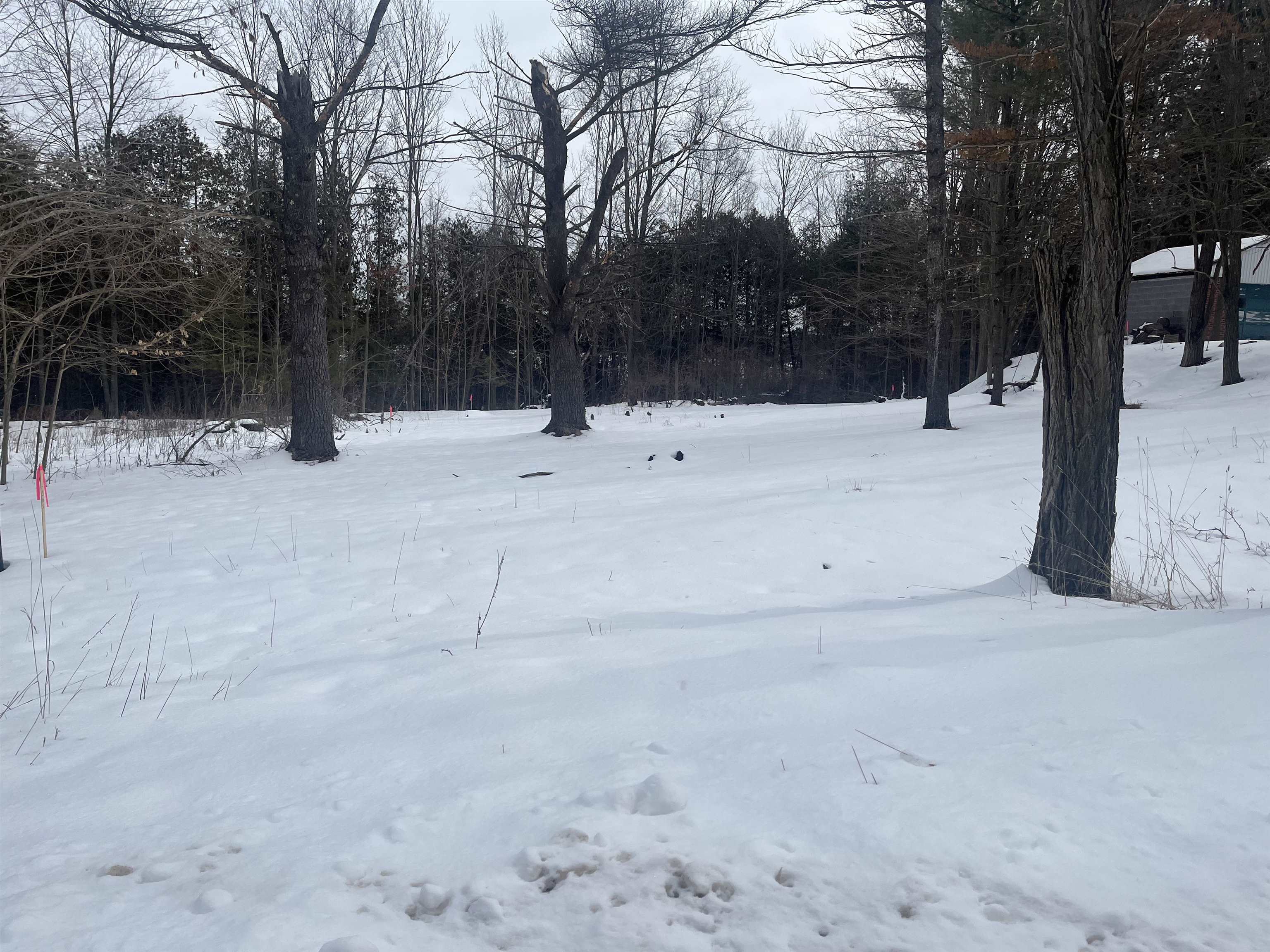 7722 Timberline Road Williamsburg, MI 49690 - Photo 2 of 5 Gallery Image 2
