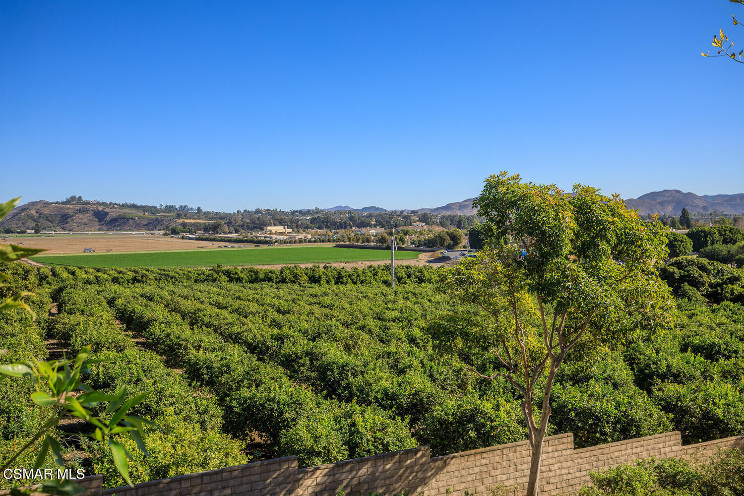 2803 Antonio Drive, Unit 201 Camarillo, CA 93010 - Photo 9 of 22 2803 Antonio Dr Unit UNIT 201-large-007-