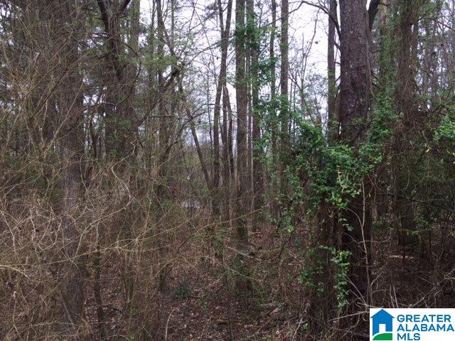 0 Patton Road, Unit 3 Tuscaloosa, AL 35404 - Photo 5 of 5