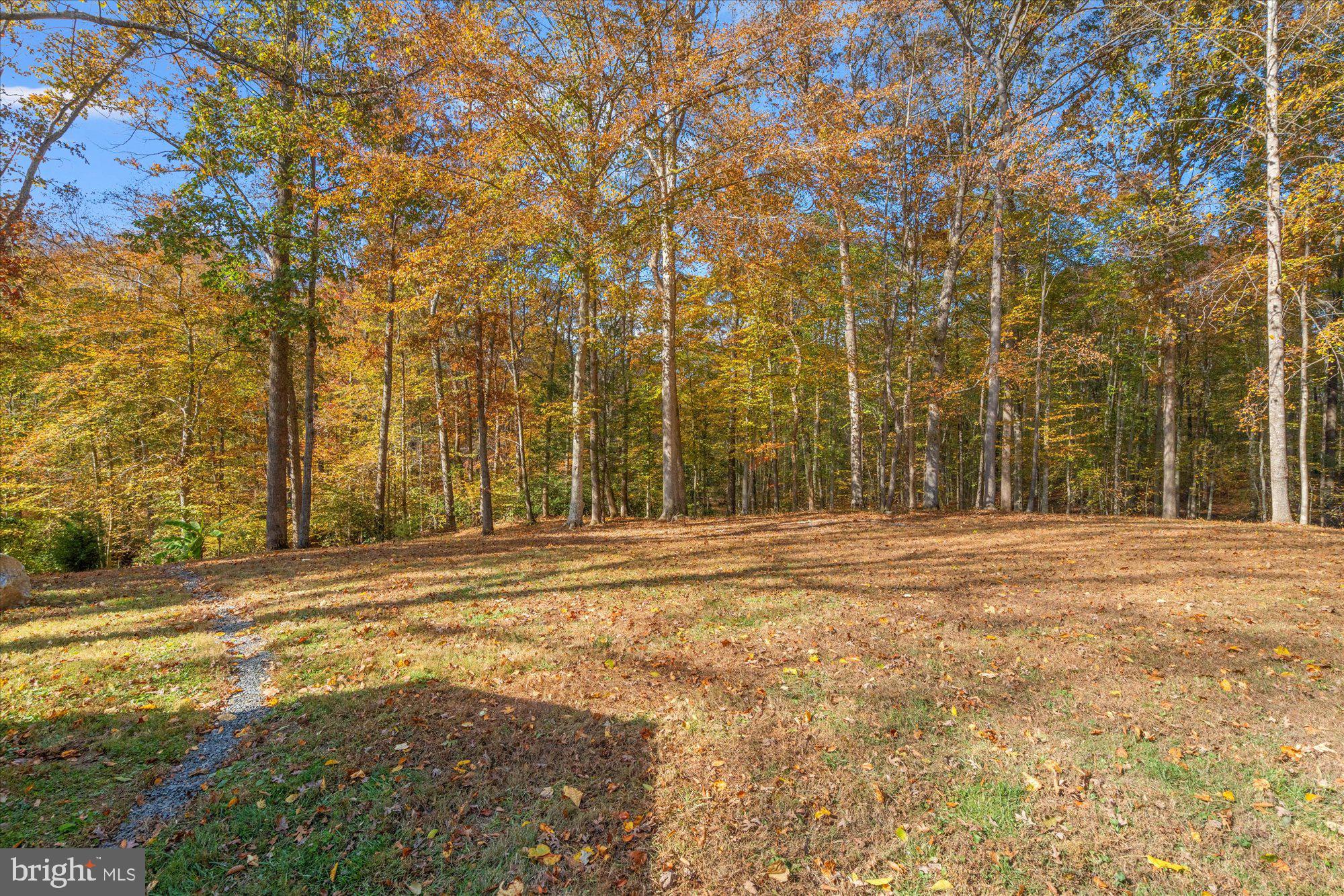 14520 Idlebrook Court Manassas, VA 20112 - Photo 4 of 87 a view of a house with a big yard and large trees