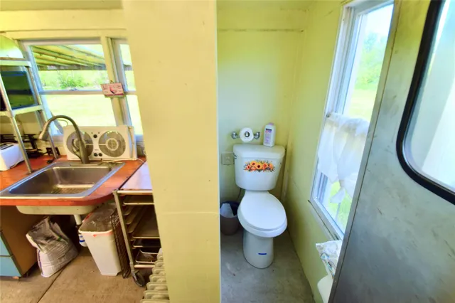 a view of a bunch of flowers in a yard