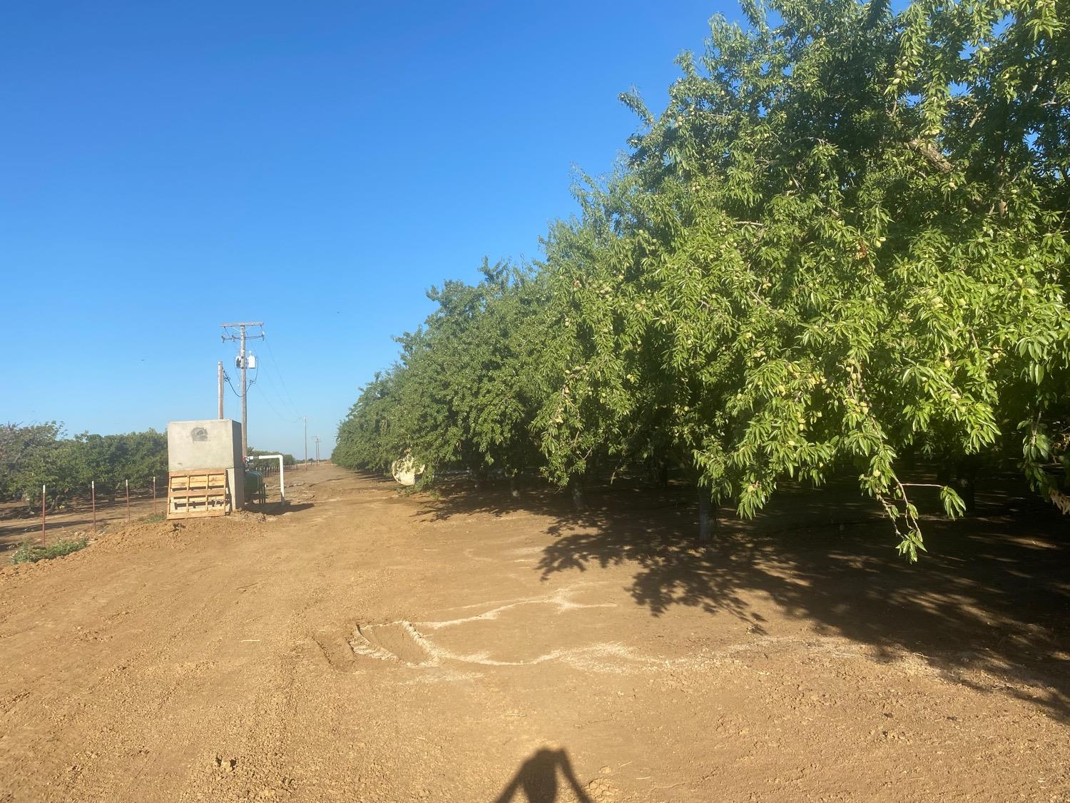 4259 Orchard Road Gustine, CA 95322 - Photo 12 of 14