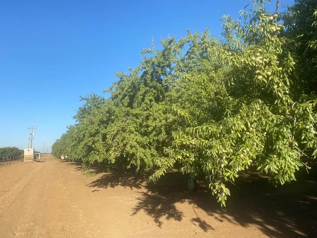 $1,169,000 | 4259 Orchard Road, Gustine, CA 95322