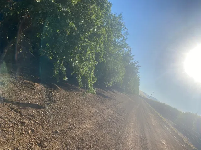 $1,169,000 | 4259 Orchard Road, Gustine, CA 95322