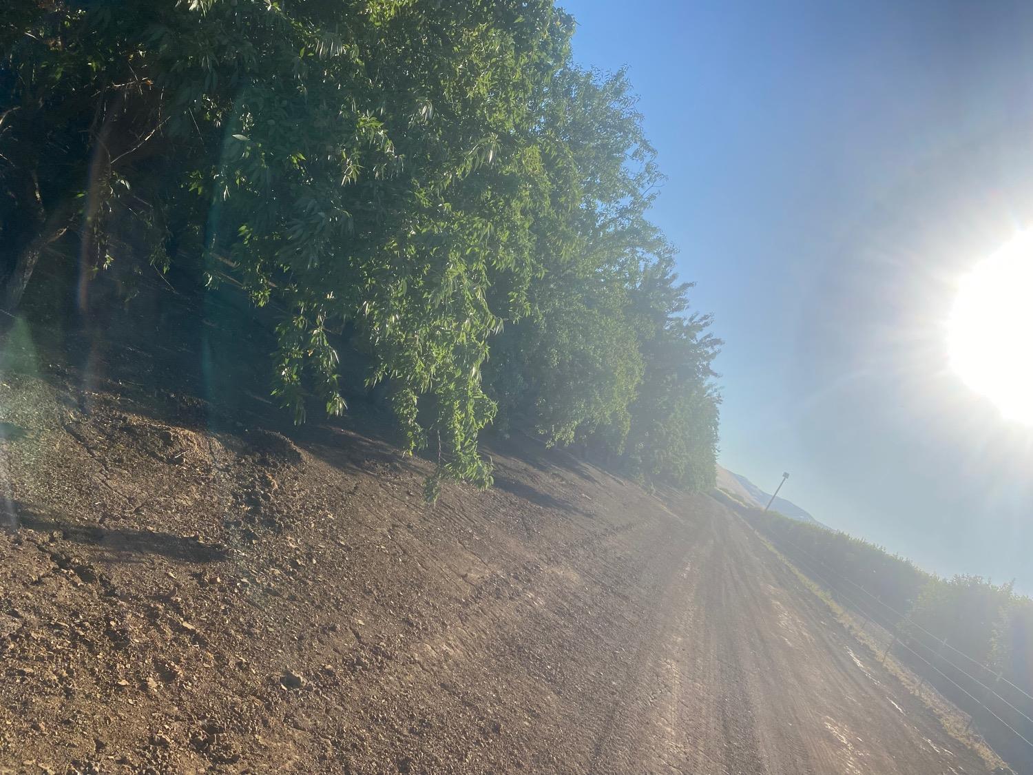 4259 Orchard Road Gustine, CA 95322 - Photo 14 of 14