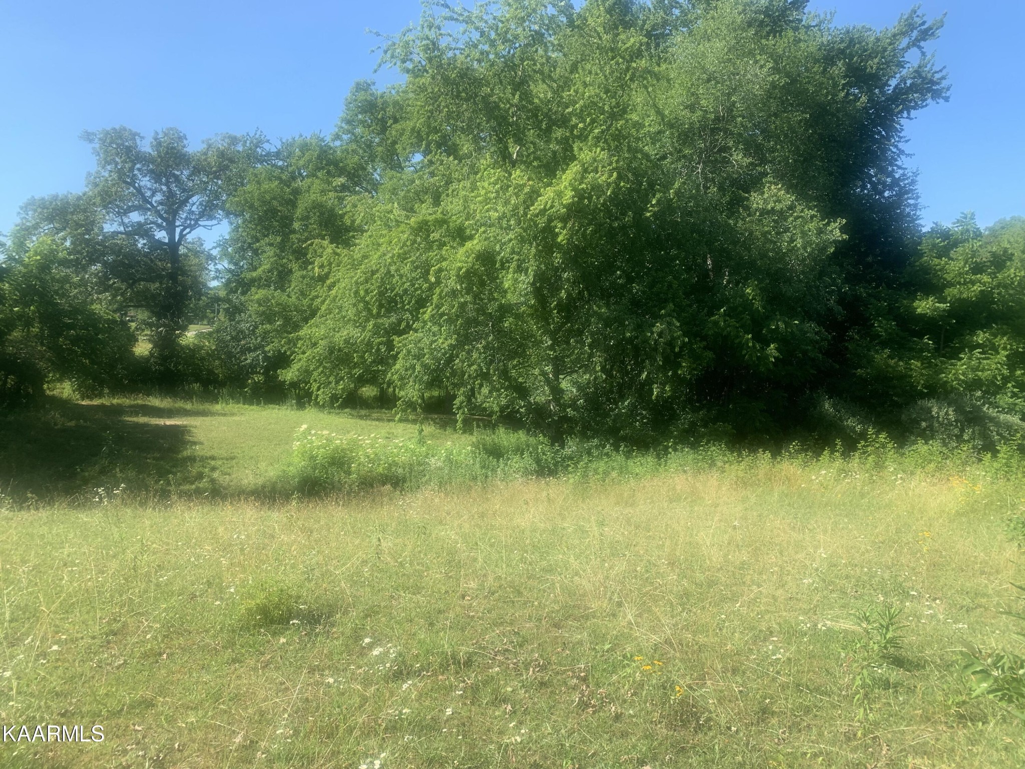 0 Reeder Avenue Jamestown, TN 38556 - Photo 1 of 5