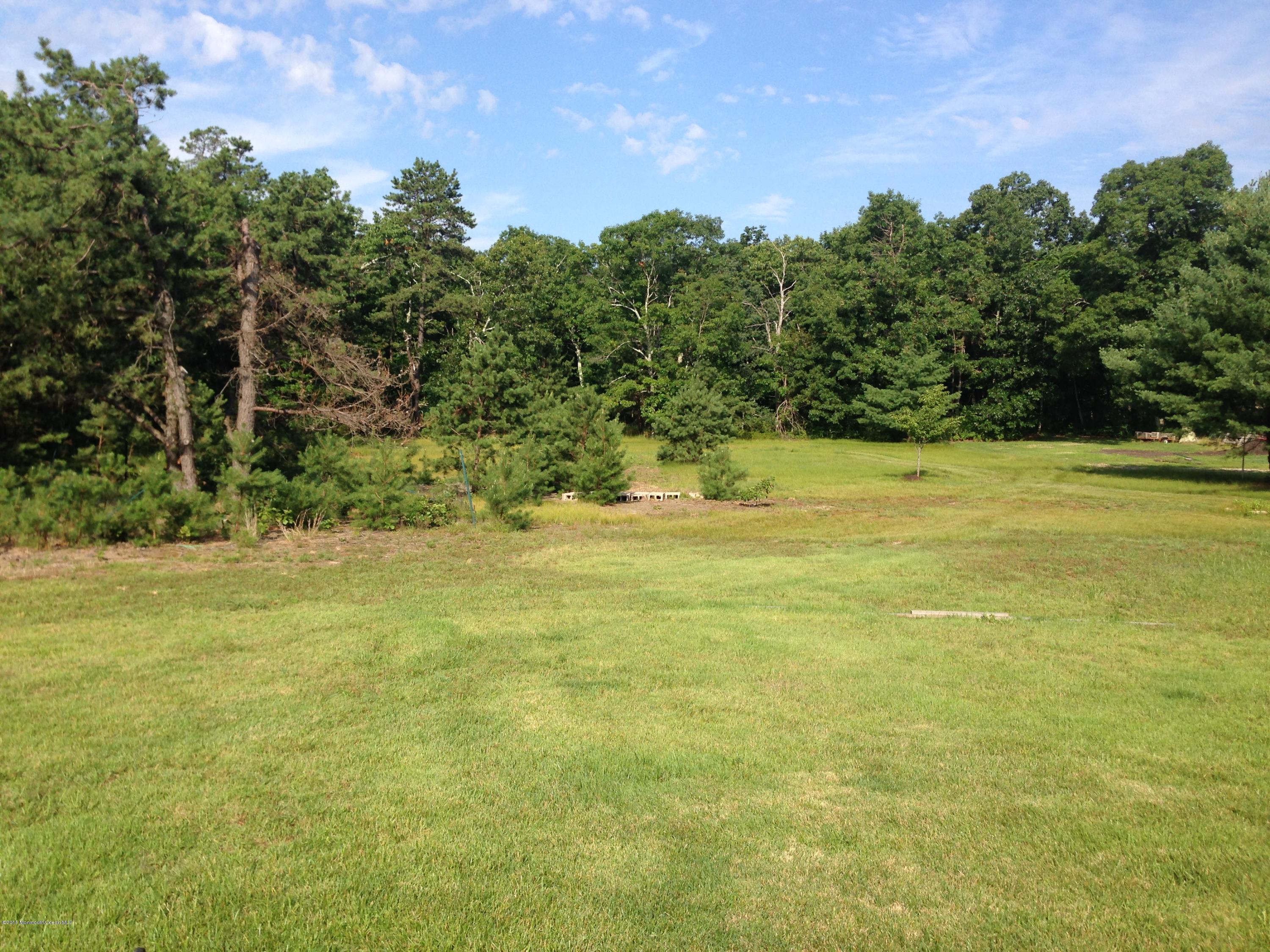 573 Newtons Corner Road Howell, NJ 07731 - Photo 33 of 40 058