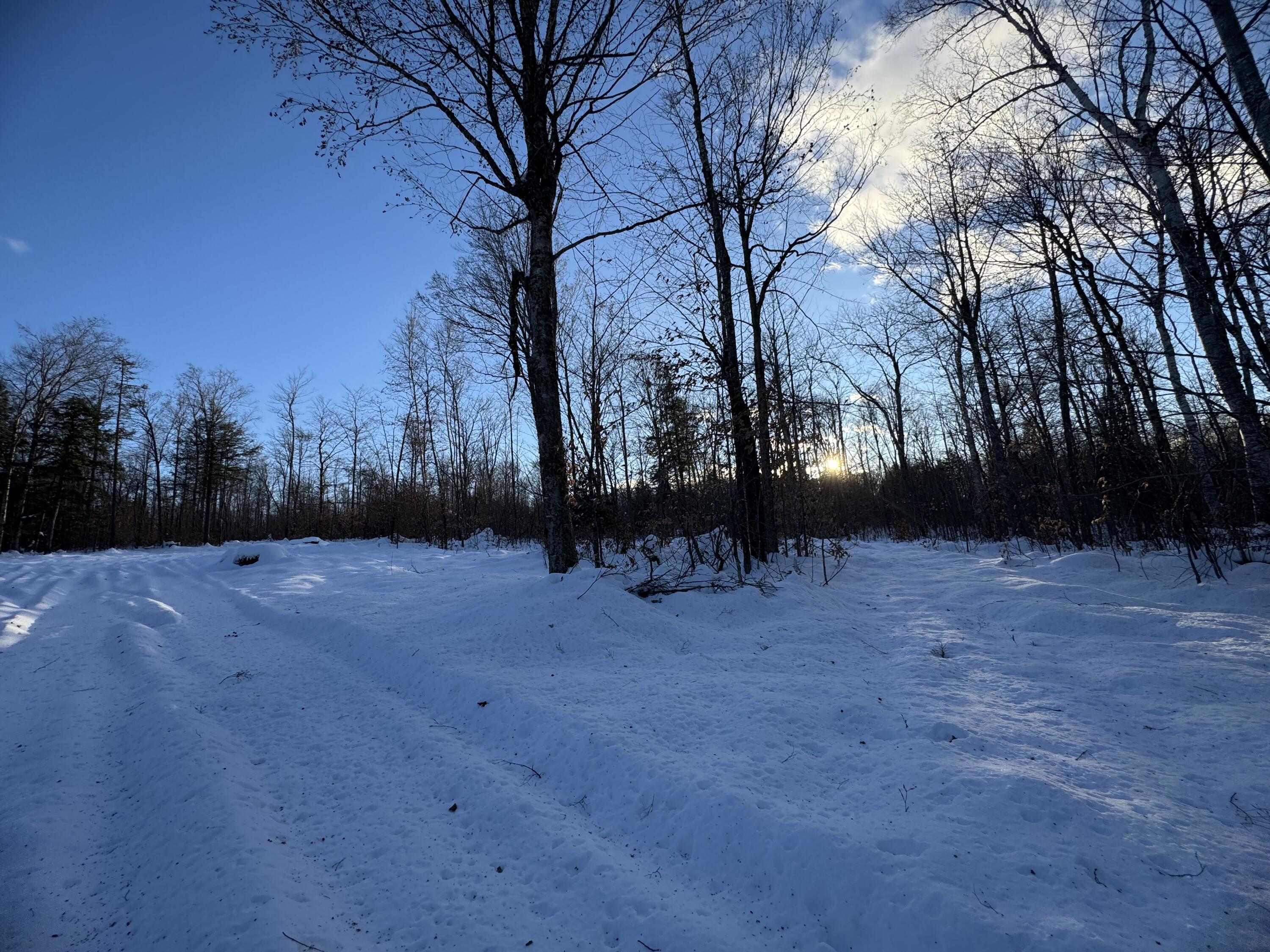 Map7-lot7 South Shore Road Abbot, ME 04406 - Photo 20 of 28 IMG_9012