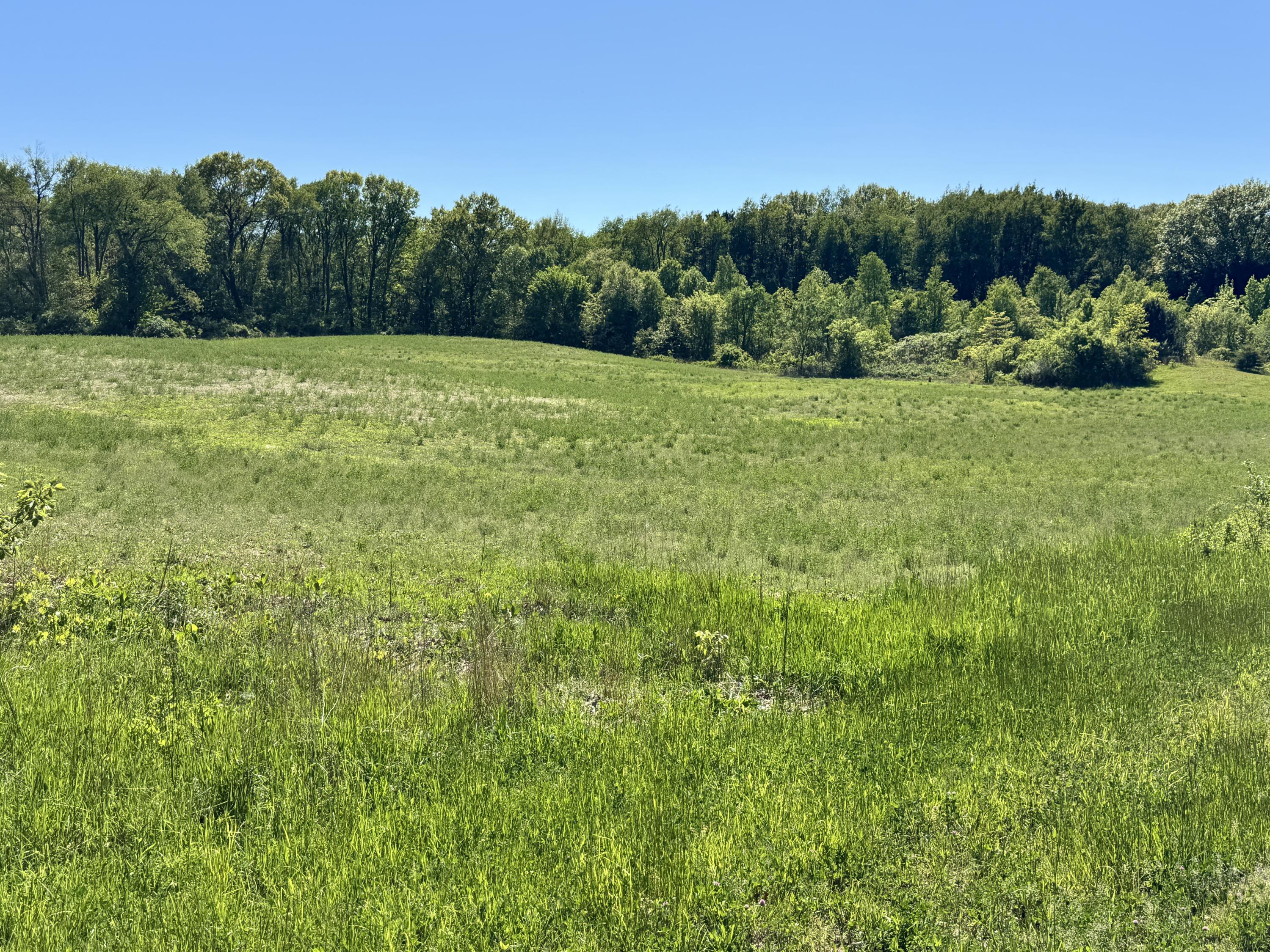 W West Springville Road La Porte, IN 46350 - Photo 4 of 14 3000x2250