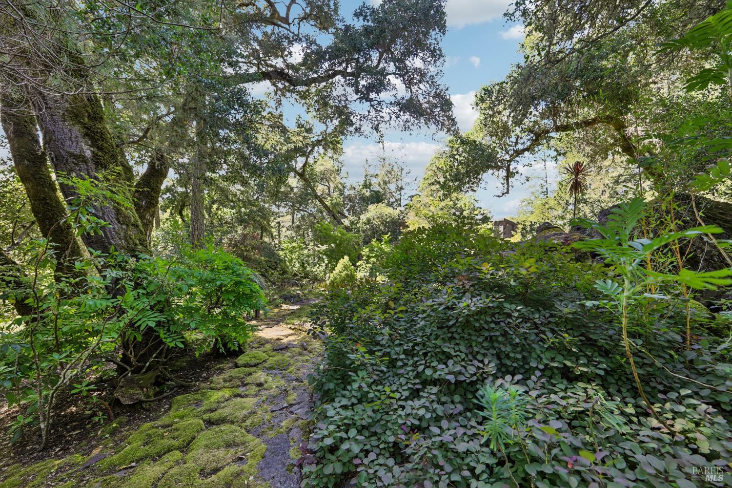 2515 Stepps Road Sebastopol, CA 95472 - Photo 68 of 93