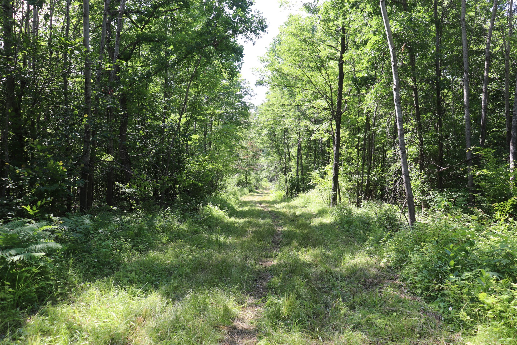 S11305 Kempton Road Augusta, WI 54722 - Photo 47 of 57