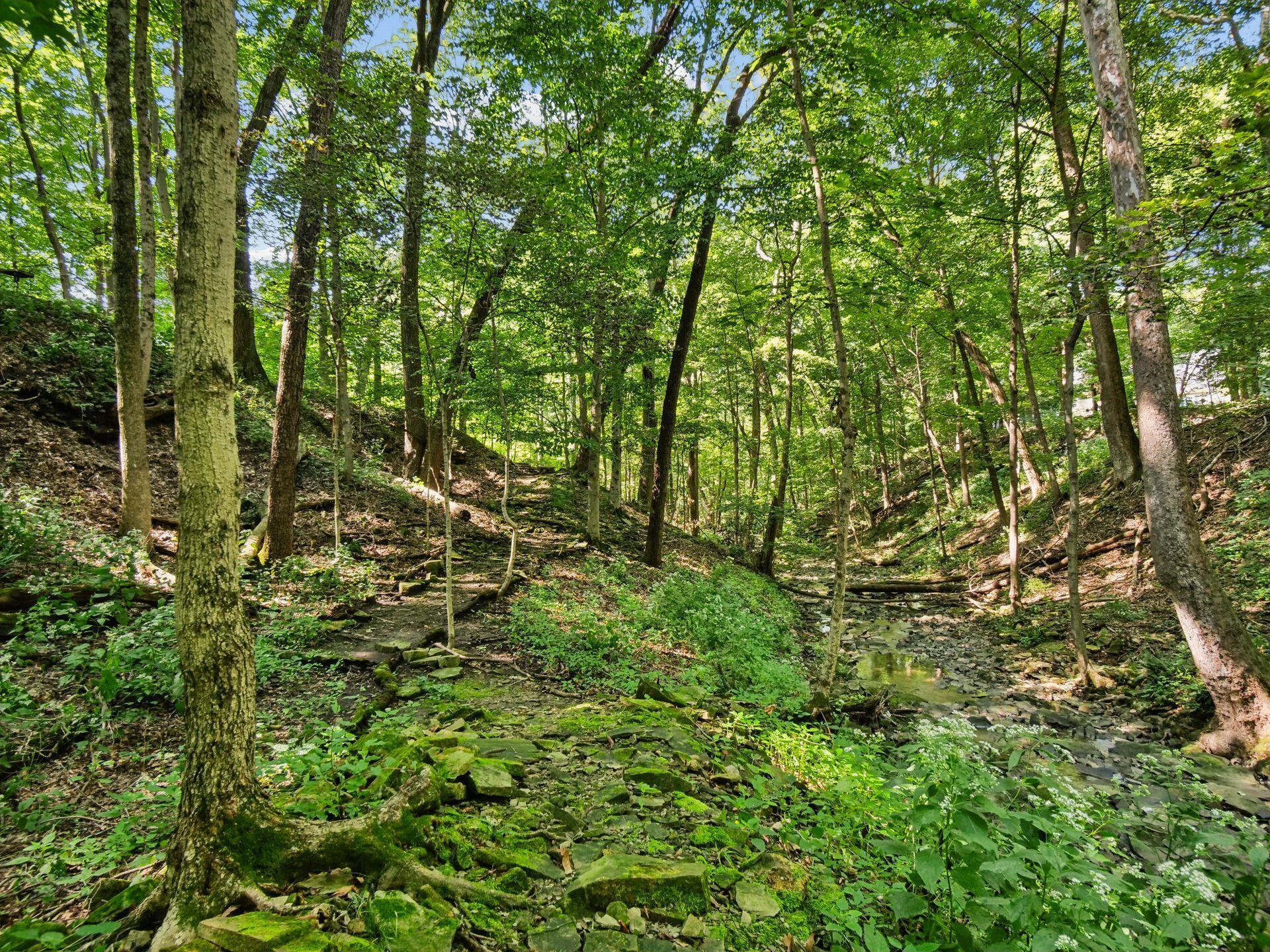 6218 Harlem Road Westerville, OH 43082 - Photo 44 of 146 042_ Westerville OH 43082 USA