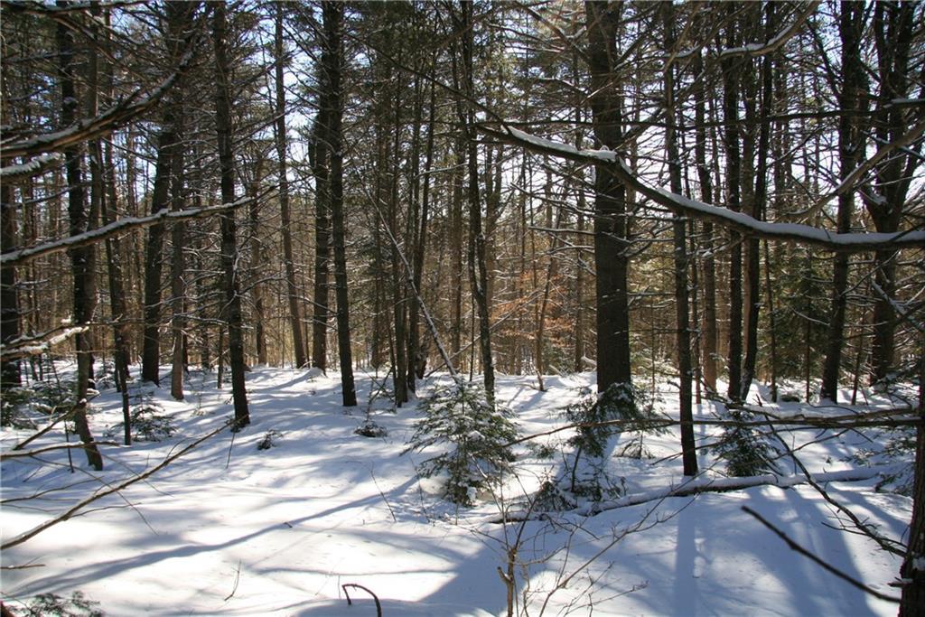 50 Avenue Road Garland, ME 04939 - Photo 19 of 22 Photo