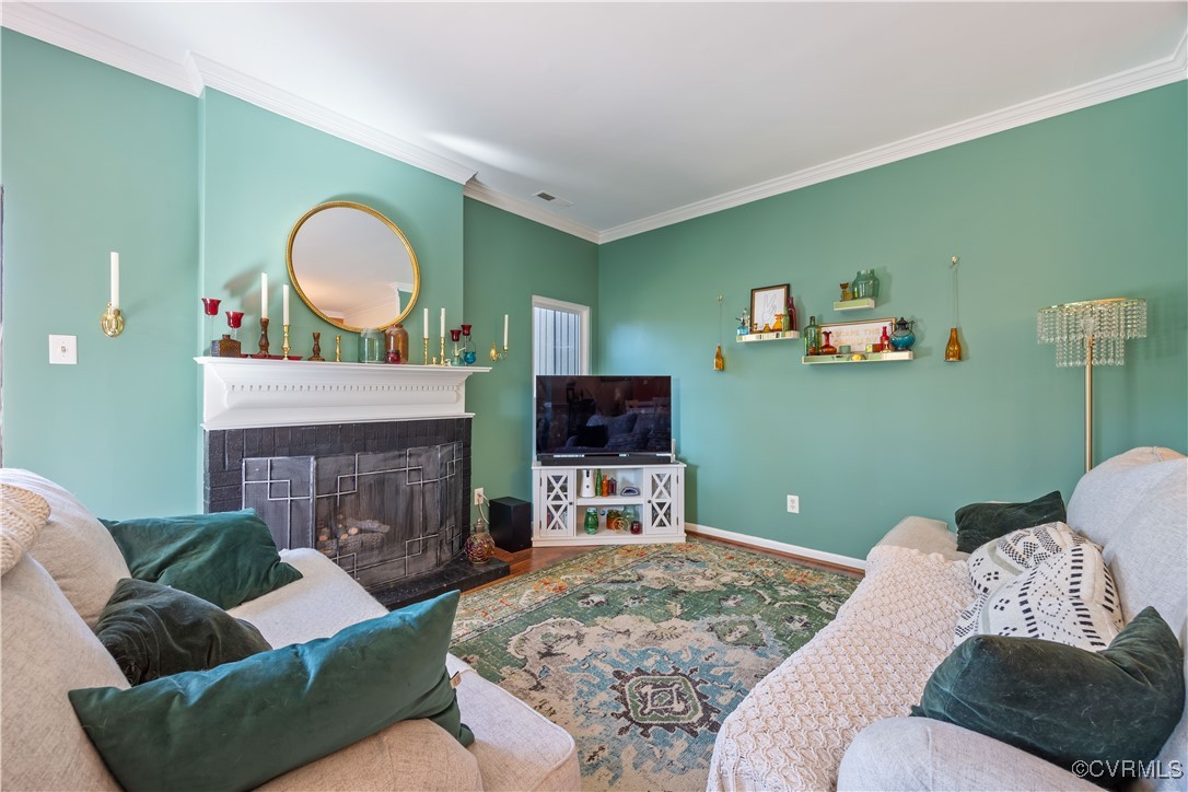 11629 East Briar Patch Drive Midlothian, VA 23113 - Photo 9 of 18 a living room with furniture and a fireplace