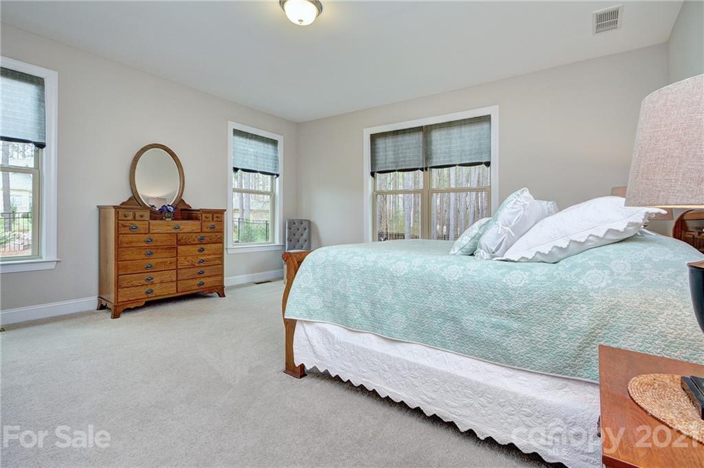 1094 Trinity Ridge Parkway Fort Mill, SC 29715 - Photo 26 of 45