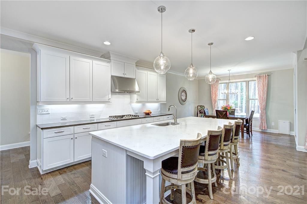 1094 Trinity Ridge Parkway Fort Mill, SC 29715 - Photo 5 of 45