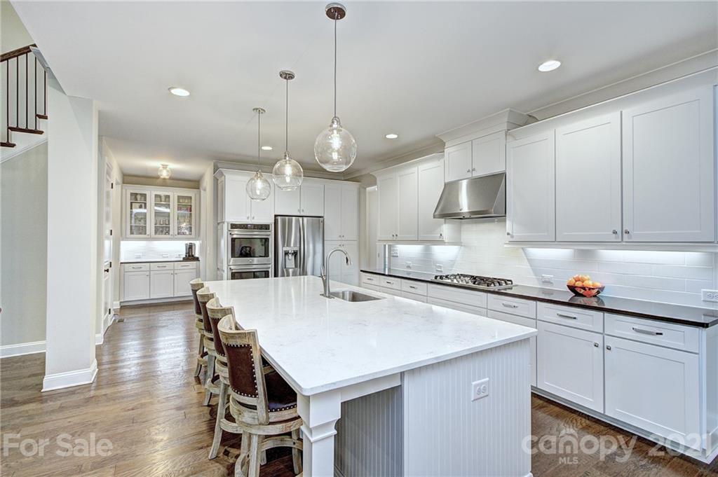 1094 Trinity Ridge Parkway Fort Mill, SC 29715 - Photo 7 of 45