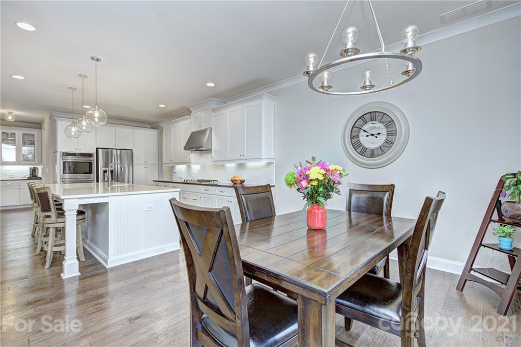 1094 Trinity Ridge Parkway Fort Mill, SC 29715 - Photo 9 of 45