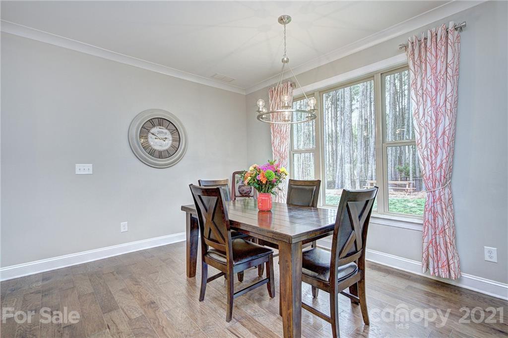 1094 Trinity Ridge Parkway Fort Mill, SC 29715 - Photo 10 of 45