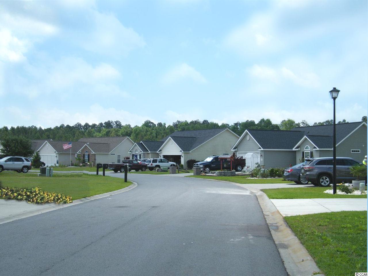 545 Irees Way Longs, SC 29568 - Photo 21 of 25 Gallery Image 21