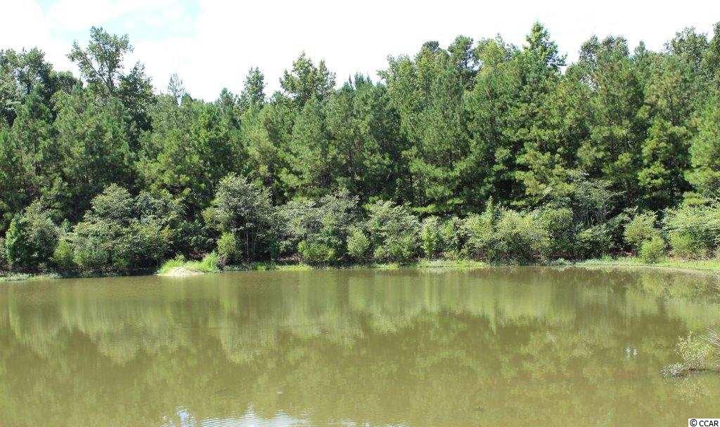 545 Irees Way Longs, SC 29568 - Photo 22 of 25 Gallery Image 22