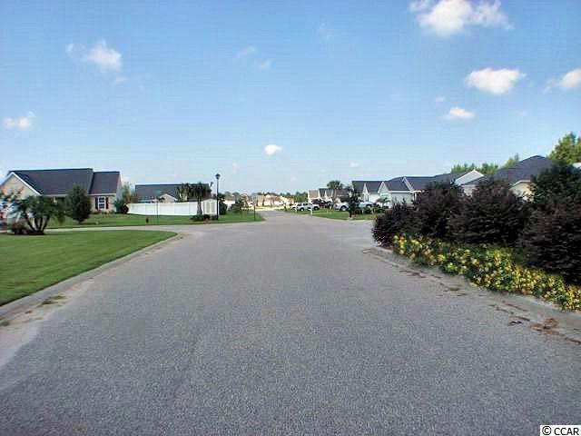 545 Irees Way Longs, SC 29568 - Photo 23 of 25 Gallery Image 23