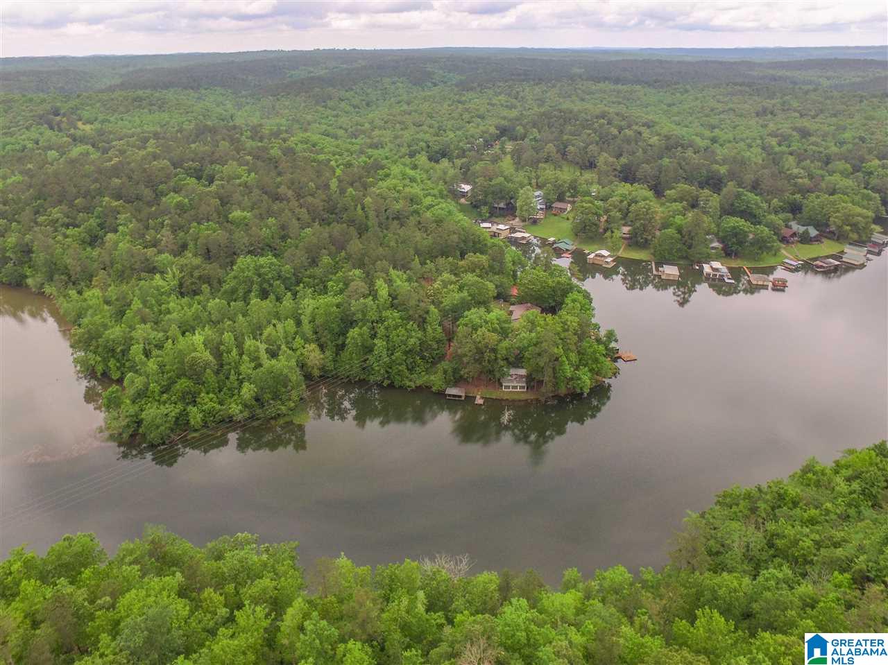 1631 County Road 485 Clanton, AL 35046 - Photo 9 of 15