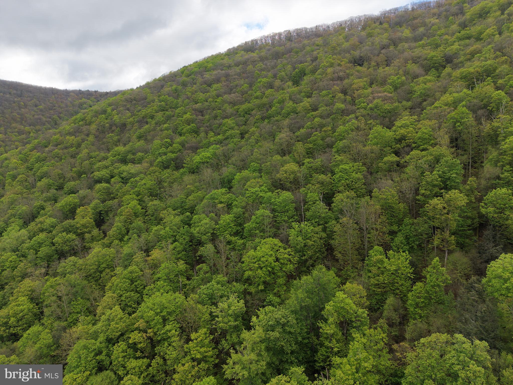 1227 Cross Fork Creek Road Cross Fork, PA 17729 - Photo 15 of 139